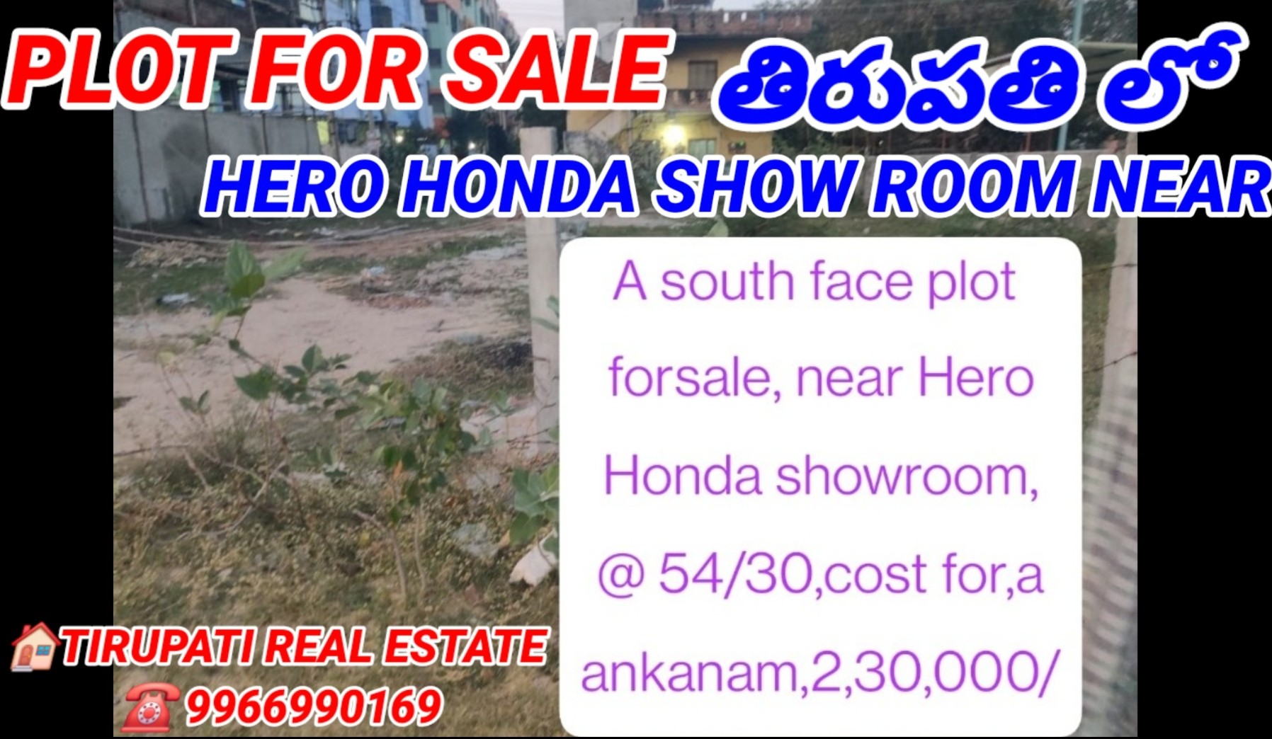 Additional Listing Image